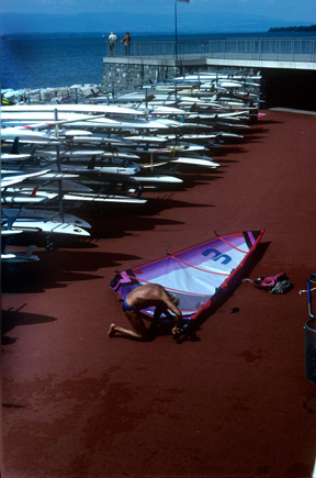 Windsurfer